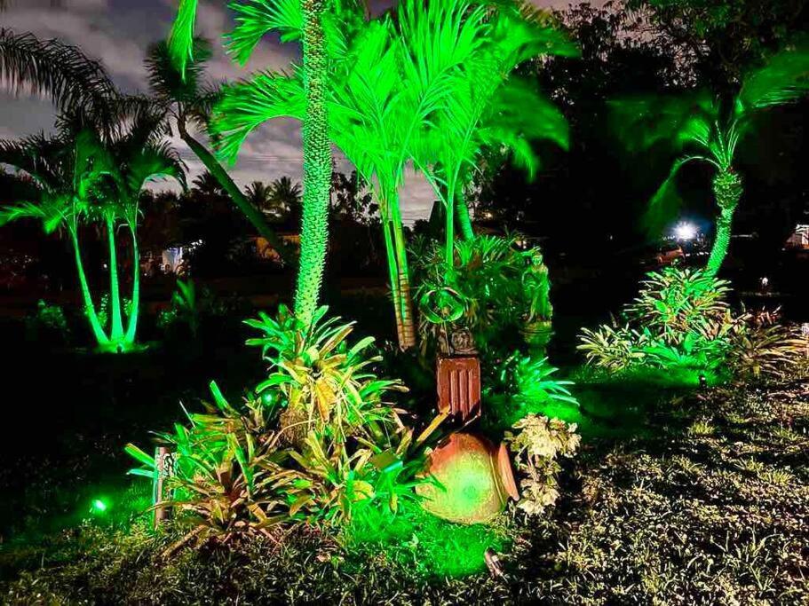 Jungle To Beach 4 R 3 Bedroom Family And Pet Heated Pool N Airport N Beach N Hard Rock Fort Lauderdale Exterior photo