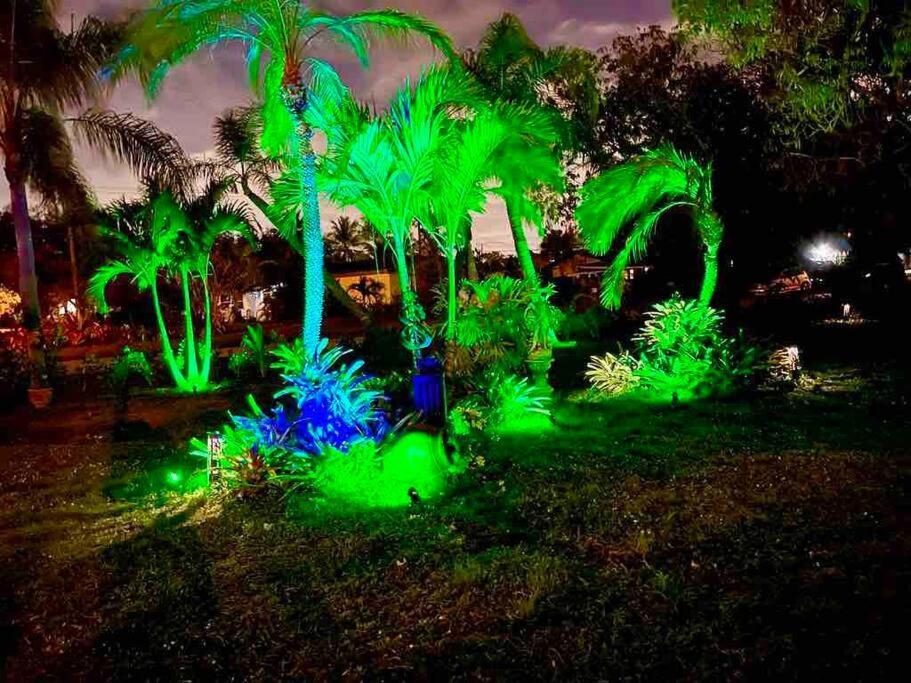Jungle To Beach 4 R 3 Bedroom Family And Pet Heated Pool N Airport N Beach N Hard Rock Fort Lauderdale Exterior photo